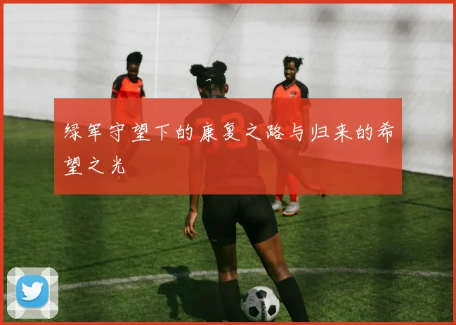 绿军守望下的康复之路与归来的希望之光