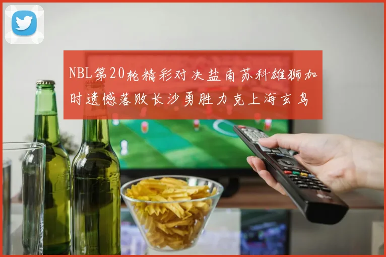NBL第20轮精彩对决盐南苏科雄狮加时遗憾落败长沙勇胜力克上海玄鸟