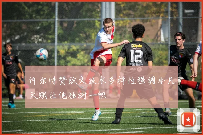 许尔特赞欧文技术多样性强调非凡天赋让他独树一帜